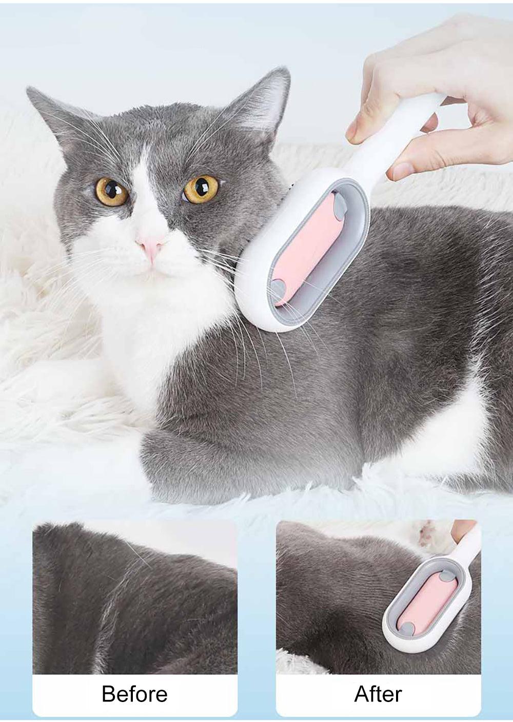 Brosse avec Eau pour Poils d'Animaux - Pack de 2, Pratique et Efficace.