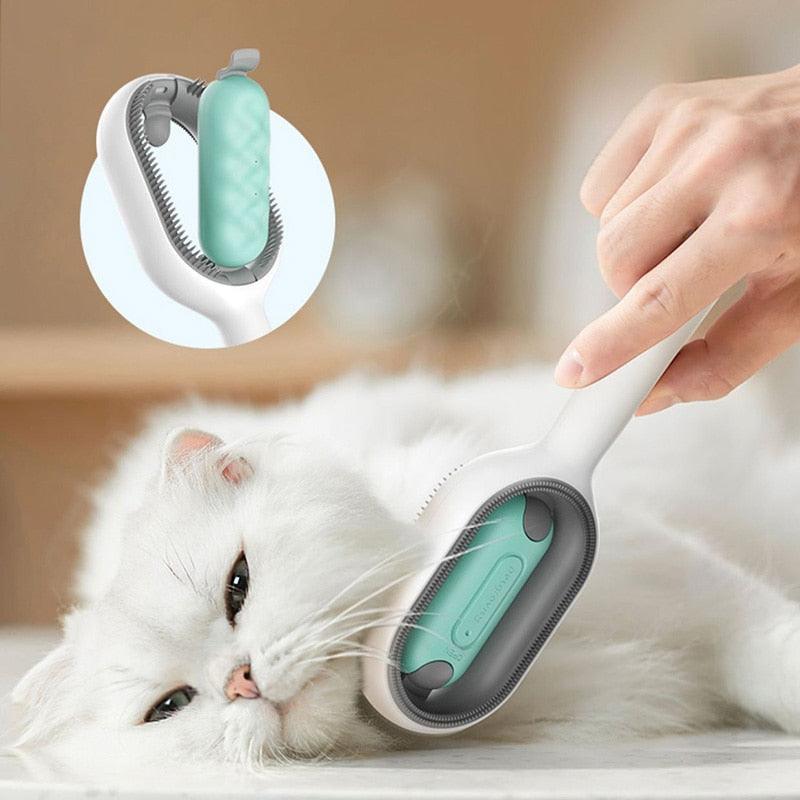 Brosse avec Eau pour Poils d'Animaux - Pack de 2, Pratique et Efficace.