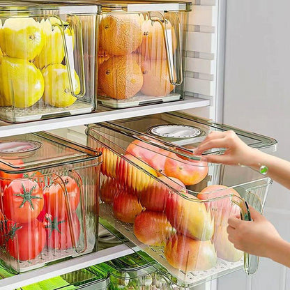 Organisation Efficace dans le Réfrigérateur et Design Élégant pour la Cuisine