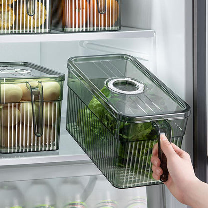 Organisation Efficace dans le Réfrigérateur et Design Élégant pour la Cuisine