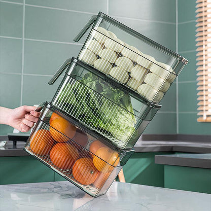 Organisation Efficace dans le Réfrigérateur et Design Élégant pour la Cuisine